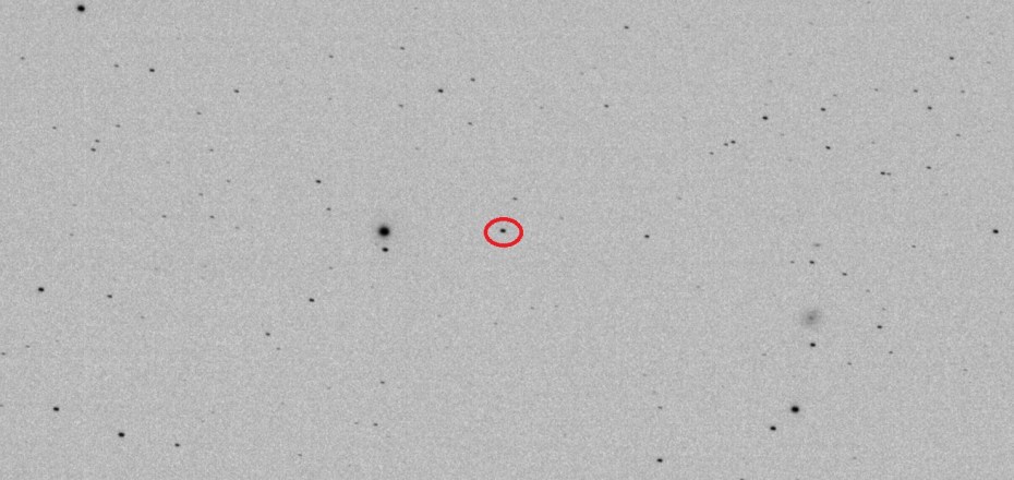 00119-Althaea-20170418-224043-060-T3