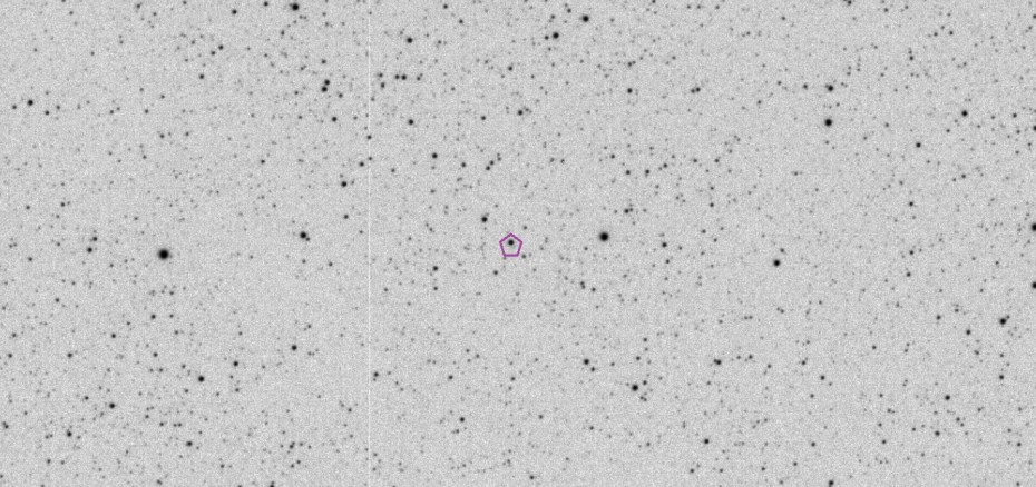 00119-Althaea-20180813-215721-060-T3