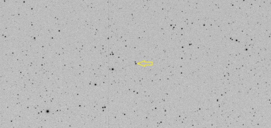 00204-Kallisto-20180813-222111-060-T3